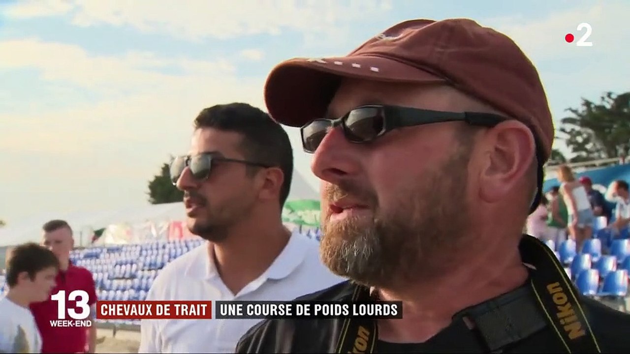 Finistère : une course de chevaux de trait sur la plage