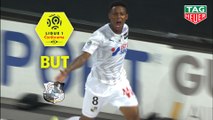 But Bongani ZUNGU (71ème) / Amiens SC - FC Nantes - (1-2) - (ASC-FCN) / 2019-20