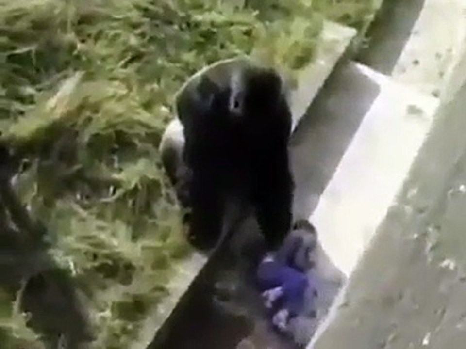 We say ' it animals'.But they realized it was a child, and they kept away