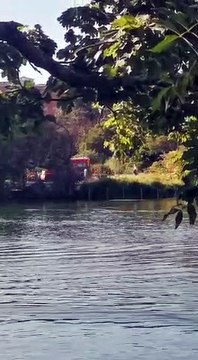 Les pompiers secourent une femme au Parc de la Tête d’Or