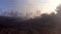 Antakya'da zeytinlik alanda yangın