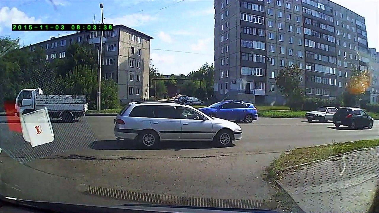 Cute Kitten Stops Traffic
