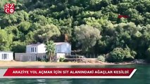 Araziye yol açmak için sit alanındaki ağaçlar kesildi