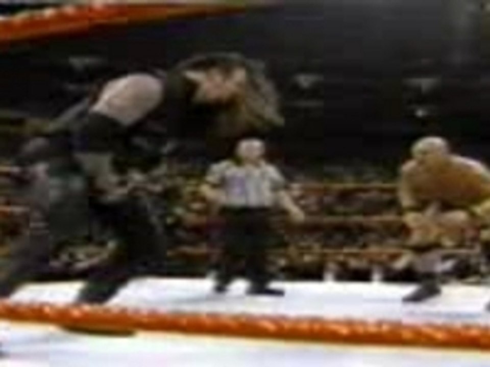 WWE - Stone Cold Stunner's The Undertaker