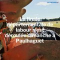 Finales départementales de labour en Haute-Loire : rétrospective et explication