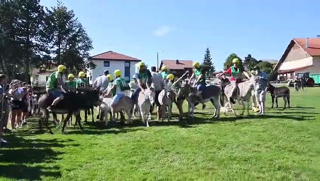 Le tiercé des ânes, moment fort de la fête de Fournets-Luisans