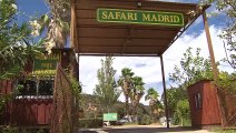 Safari Madrid acerca los animales exóticos a la capital