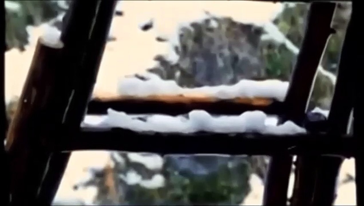 PANI PANI RE... — MACHISME | FROM: "MONSOON MASTI" | HINDI/MAGIC/BOLLYWOOD/भाषा: हिंदी/बॉलीवुड की सबसे अच्छी/COLLECTION