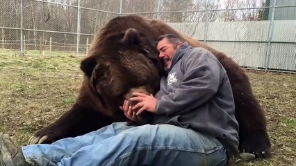 Amitié incroyable entre un homme et son ours énorme