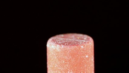 Tiny Jumping Spider Springs from Pencil Eraser