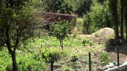 Çubuk'ta iş makinelerinin bahçelere zarar verildiği iddiası