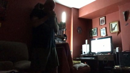 CCR Graveyard Train armonica cover