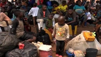 Angola, RDC e ACNUR buscam solução para refugiados