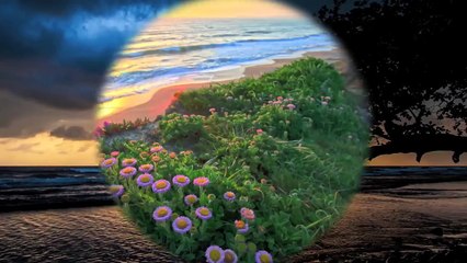 성서출장안마 -후불100%ョO7OC5222C7802｛카톡VV23}-성서전지역출장안마 성서오피걸 성서출장마사지 성서출장안마 성서출장마사지 성서출장모텔≺∰⊃성서콜걸샵