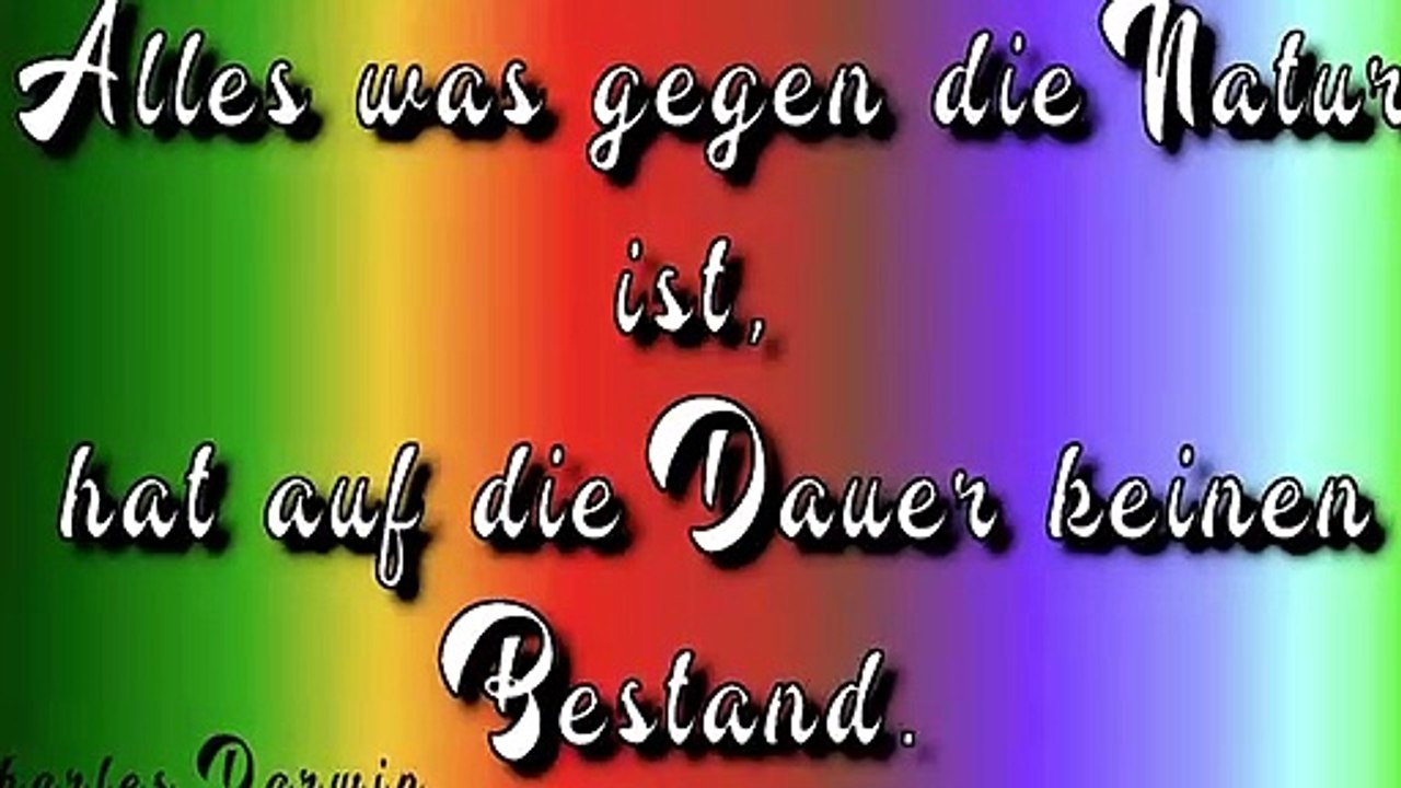 Bienensteine Aktion Rheine