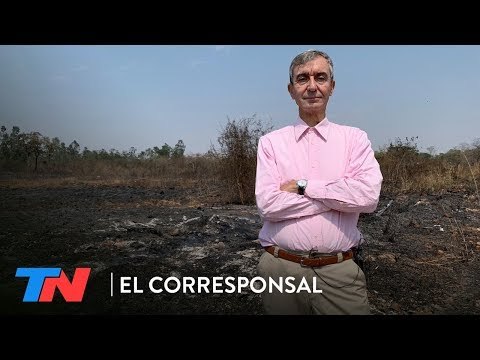 Cuiabá, la peor cara del incendio en la Amazonia: culebras muertas y tierra arrasada