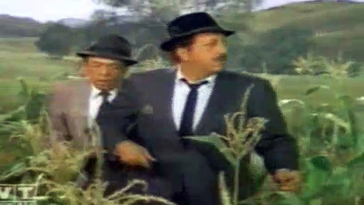 Green Acres S03E21 Arnold, Boy Hero