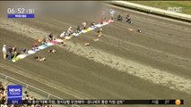 [투데이 영상] '숏다리'의 역습! 웰시코기 달리기 대회