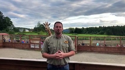 Animal Adventure Park Wine For Wolves 2019!