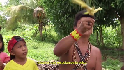 Brasil BR 163, la autopista del Amazonas (ARTE - Michael Unger, 2019)