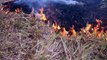 Brasil combate incendios en Amazonía tras aparición de focos nuevos