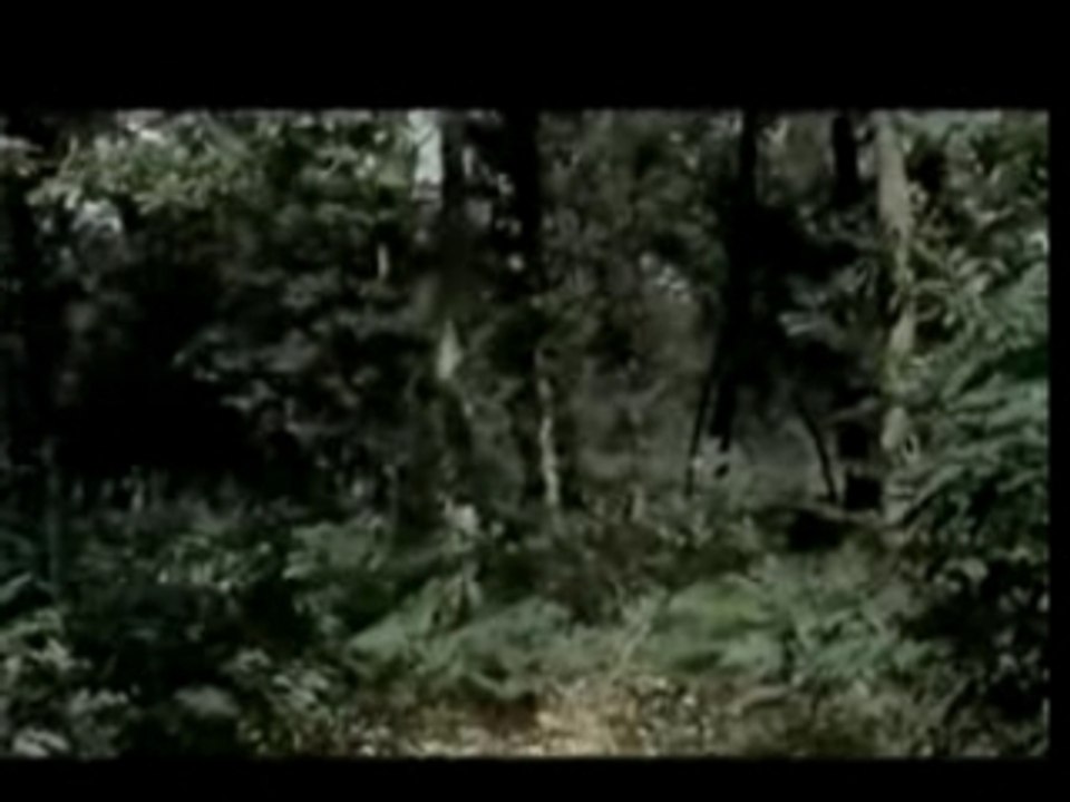 L'ambulance de Cédric Fayolle et Alexandre Berne