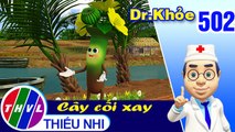 THVL | Dr. Khỏe - Tập 502: Cây cối xay - Phần 2