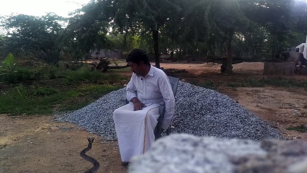 720_24_13.23_Aug262019reporter live: poisonous snake found inside man sitting in chair India |