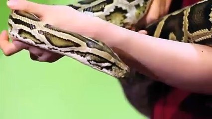 도봉출장안마 -후불100%ョØ1ØS2671S8135｛카톡AQ52｝ 도봉전지역출장안마 도봉오피걸 도봉출장마사지 도봉안마 도봉출장마사지 도봉콜걸샵★●◎