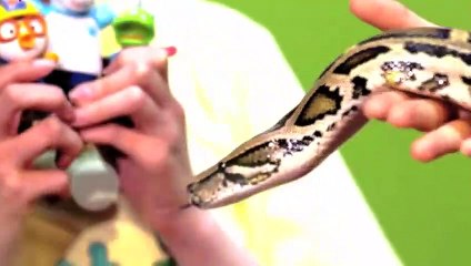 영천출장안마 -후불100%ョØ1ØA2997A5327｛카톡KC789｝ 영천전지역출장안마 영천오피걸 영천출장마사지 영천안마 영천출장마사지 영천콜걸샵φχψ