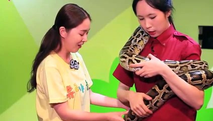 영천출장아로마≑영천출장안마 -후불100%ョØ1ØS2671S8135｛카톡ZHF526｝ 영천전지역출장안마 영천오피걸 영천출장마사지 영천안마 영천출장마사지 영천콜걸샵だちづ