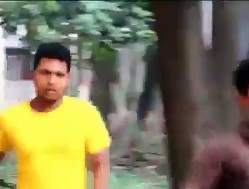 Funny Video