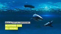 Realtà virtuali imperdibili: nuotare con gli squali