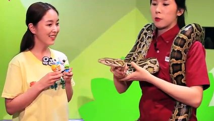 단양출장아로마≑단양출장안마 -후불100%ョØ7ØA7575A0069｛카톡RD654｝ 단양전지역출장안마 단양오피걸 단양출장마사지 단양안마 단양출장마사지 단양콜걸샵ħłø
