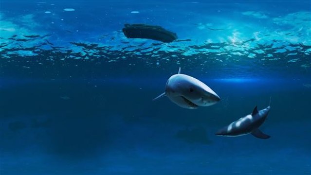 Virtuelles Hai-Erlebnis