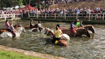 Goudelin - La baignade des chevaux