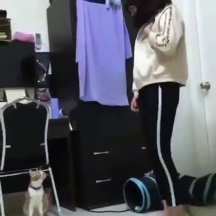 Cette chatte copie tout ce que fait sa maîtresse. A mourir de rire !