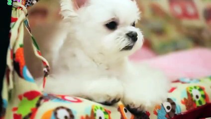 합천출장안마 -후불100%ョØ7ØS7301S9649｛카톡LA666｝ 합천전지역출장안마 합천오피걸 합천출장마사지 합천안마 합천출장마사지 합천콜걸샵オカガ