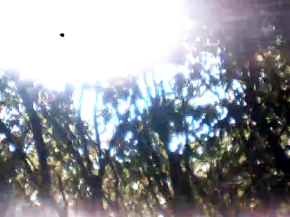 Genialisch Treiben melody