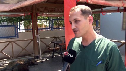 Halıya sarılıp ölüme terk edilen eşekten iyi haber