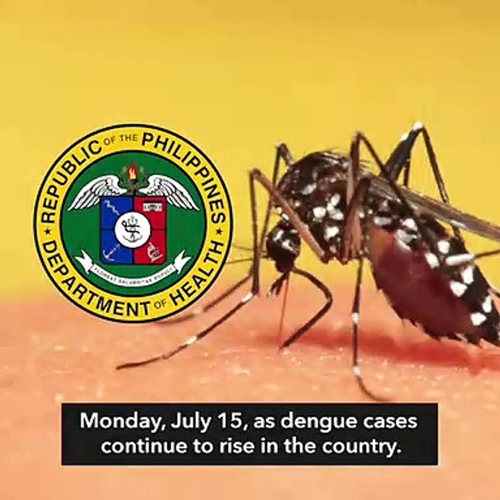 DOH declares national dengue alert