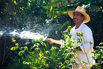 PML Keys to Victory Week 13