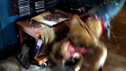 Stuntwomen: The Untold Hollywood Story (2018) Teaser | Michelle Rodriguez