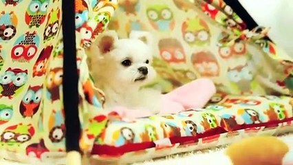 송도출장안마 -후불100%ョØ1ØE2659E1768｛카톡SN92｝ 송도전지역출장안마 송도오피걸 송도출장마사지 송도안마 송도출장마사지 송도콜걸샵§∥∏