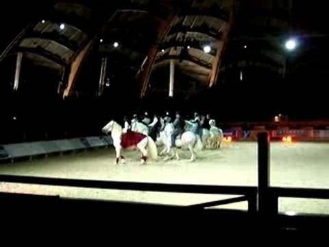 cheval passion avignon 2008