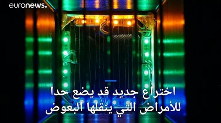 شاهد: ابتكار جديد يحمل الأمل بتخليص المنازل من أعتى أنواع البعوض في العالم