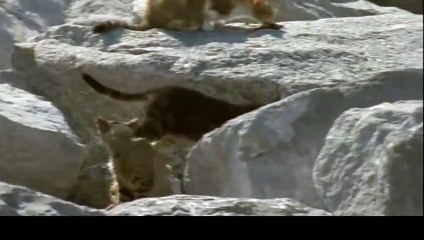 상무출장안마 -후불100%ョØ1ØE2659E1768｛카톡KP93｝ 상무전지역출장안마 상무오피걸 상무출장마사지 상무안마 상무출장마사지 상무콜걸샵ЛМН