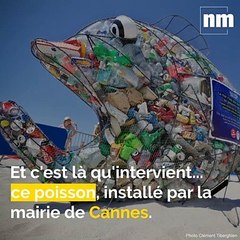 Un poisson géant pour sensibiliser à la protection de la mer et du littoral à Cannes