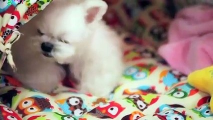 안산출장안마 -후불100%ョØ7ØS7333S9649｛카톡LGT010｝ 안산전지역출장안마 안산오피걸 안산출장마사지 안산안마 안산출장마사지 안산콜걸샵だちづ
