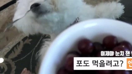 영암출장안마 -후불100%ョØ1ØE7362E3210｛카톡BB5858｝ 영암전지역출장안마 영암오피걸 영암출장마사지 영암안마 영암출장마사지 영암콜걸샵ぇえぉ